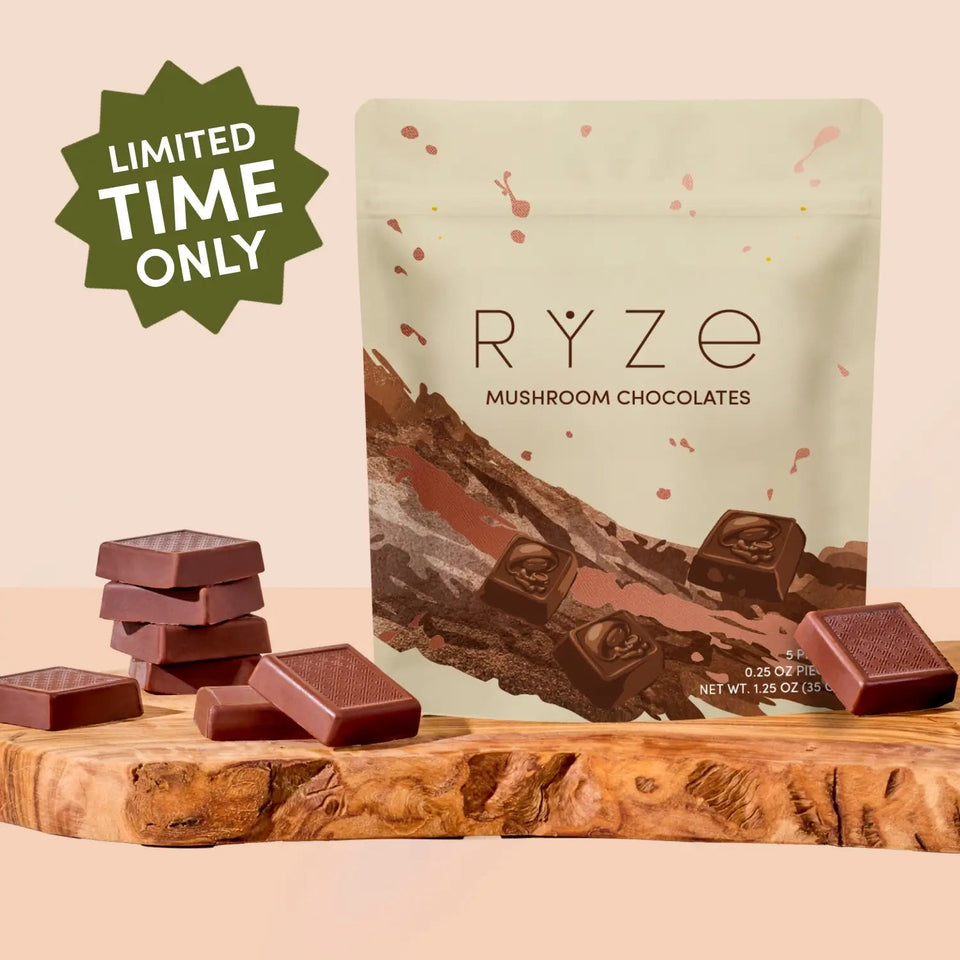 Mushroom Chocolates Rye (15 pieces) - Premium Mushroom